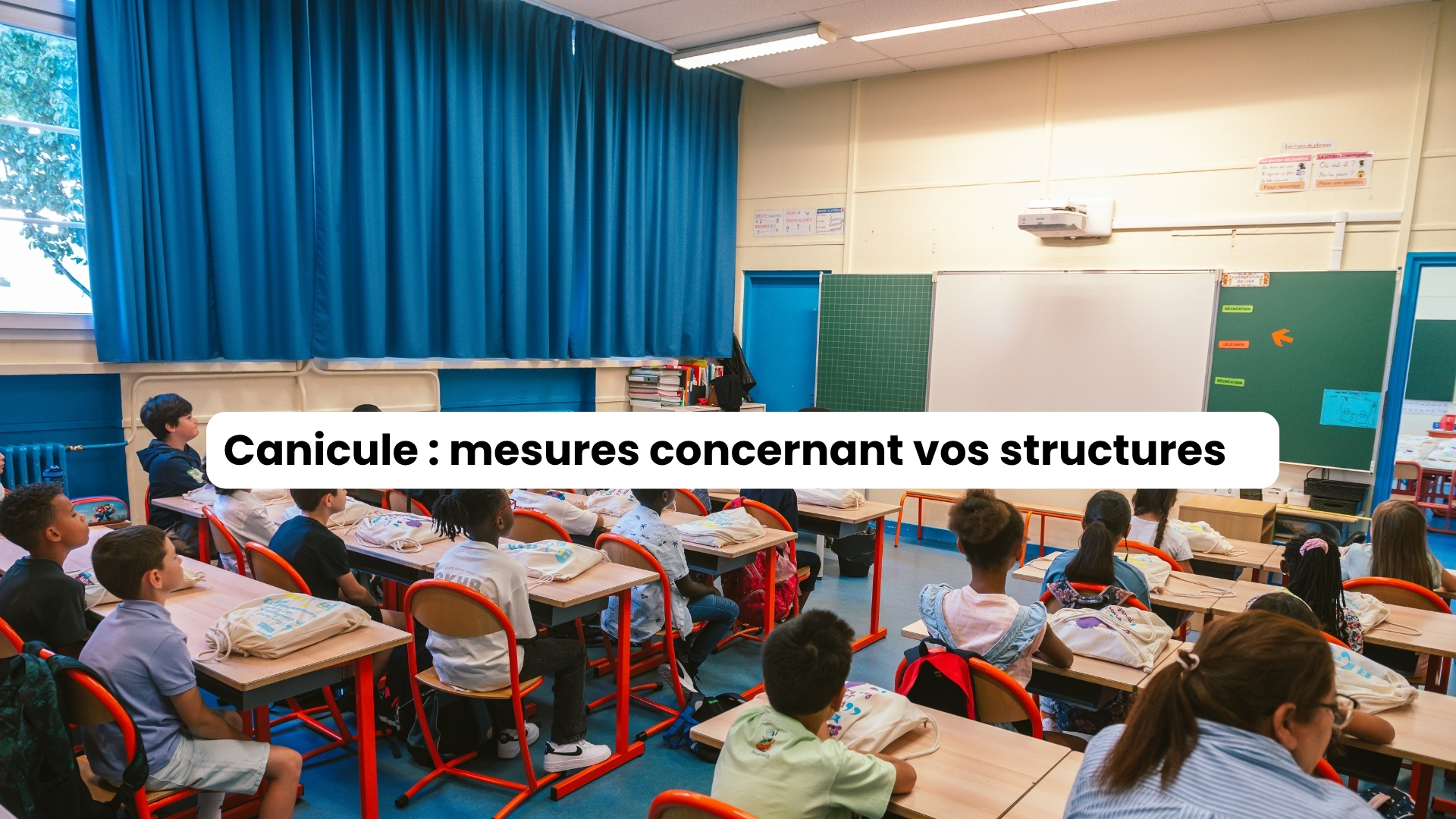 canicuule-ecole-25