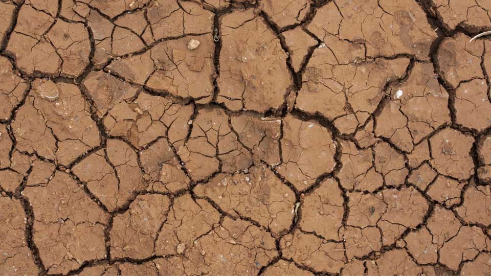 Photo d'un sol craquelé représentant la sécheresse