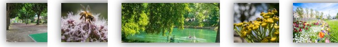 images nature