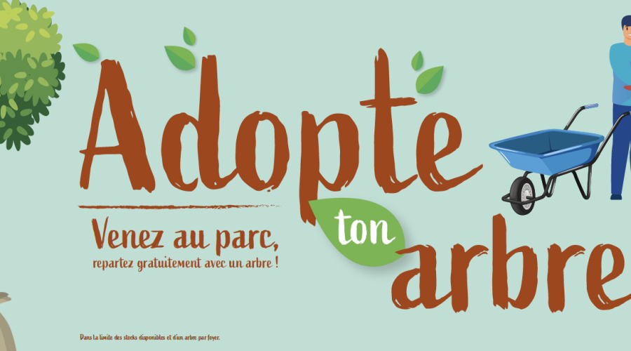 adopte-arbre