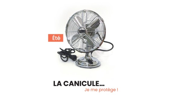 plan canicule