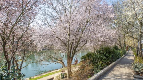 Bords_de_Marne_printemps