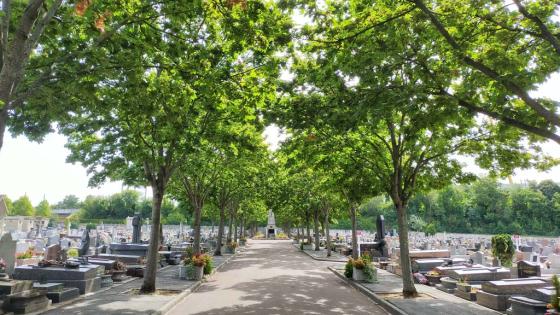 Cimetière de Champigny