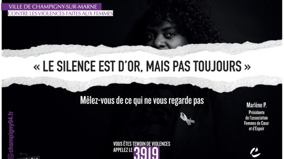 ViolencesFaitesauxFemmes